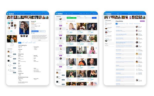 DateBook v4.7.9 WordPress约会主题-2