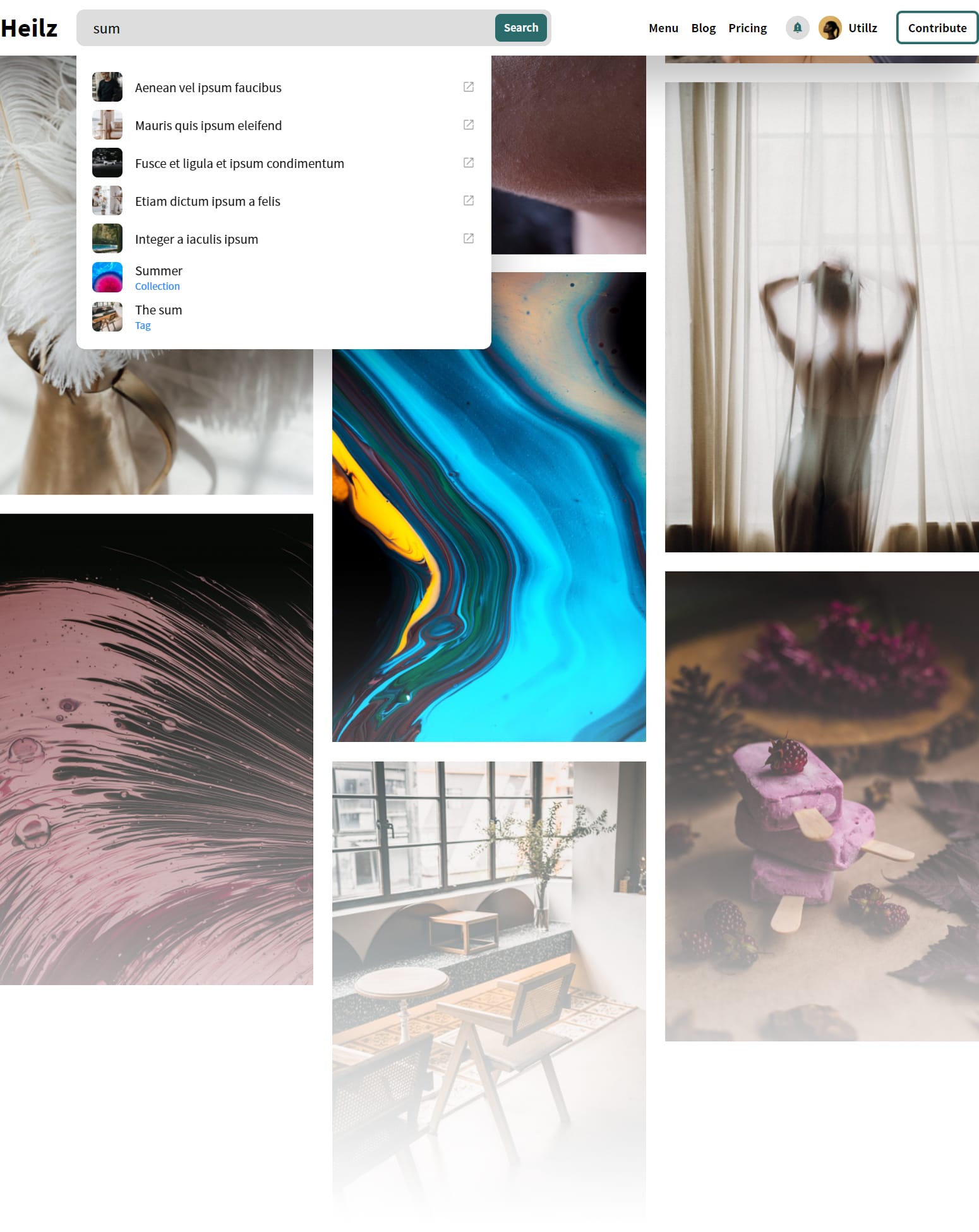 Heilz v2.3.0数字下载市场 适用于任何数字市场平台的数字下载 照片/音频/视频文件/软件/电子书独立站模板WordPress WooCommerce主题-1