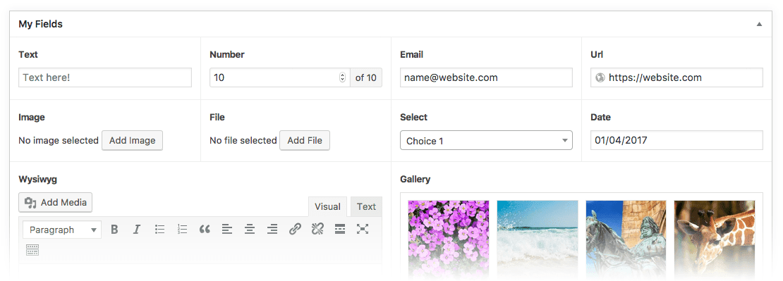 Advanced Custom Fields Pro v6.3.7 高级自定义字段专业版Wordpress插件ACF-1