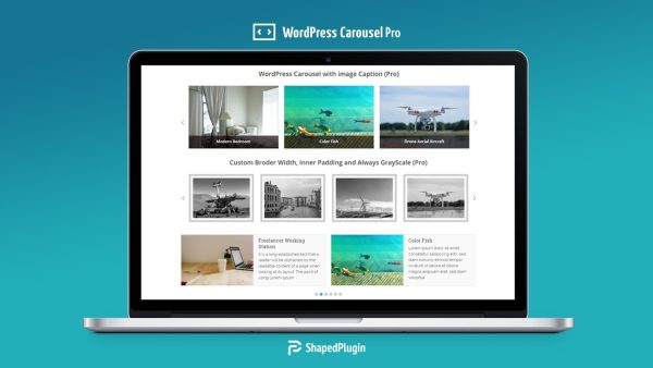 WP Carousel Pro v4.1.0 WordPress 多用途轮播、滑块和图库插件专业版 wp响应式 公司主题模板外贸跨境电商主题模板编辑插件工具