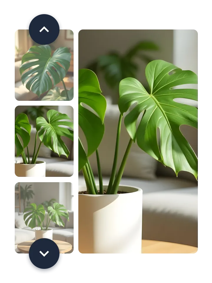 JetProductGallery 插件 v2.1.19 精美的 WooCommerce 产品画廊 WordPress 图片相册画廊系统插件-1 JetProductGallery 插件 v2.1.19 精美的 WooCommerce 产品画廊 WordPress 图片相册画廊系统插件-1