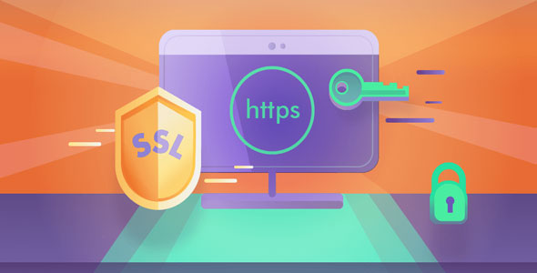 Really Simple SSL Pro v9.1.1 真正简单的SSL