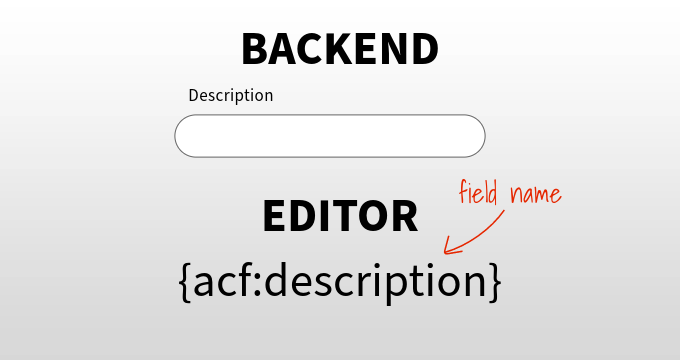 Dynamic Content for Elementor v3.1.2动态内容 Wordpress主题模板编辑器Elementor插件扩展小部件-1 Dynamic Content for Elementor v3.1.2动态内容 Wordpress主题模板编辑器Elementor插件扩展小部件-1