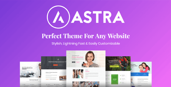 Astra Pro Addon v4.8.2适合任何网站的完美主题 WordPress WooCommerce 主题 适用于一般商业网站、跨境电商独立站商城模板时尚电子产品、数码产品、时装店、家具店、装饰品、手表、化妆品、运动鞋子、家居产品行业购物网站WordPress模板