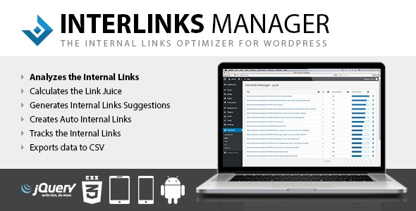 链接管理器Interlinks Manager v1.37内部链接管理高级版 Wordpress关键词内链管理器插件 SEO优化排名工具
