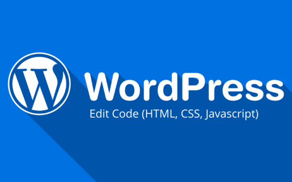 如何将 JavaScript 添加到 WordPress 页面和帖子：初学者指南