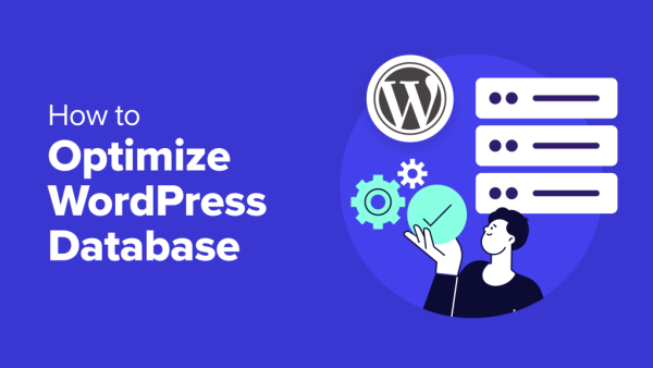 优化 WordPress 数据库性能的综合指南