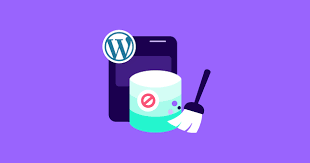 WordPress 的 MySQL 数据库优化：提高网站速度的简单方法