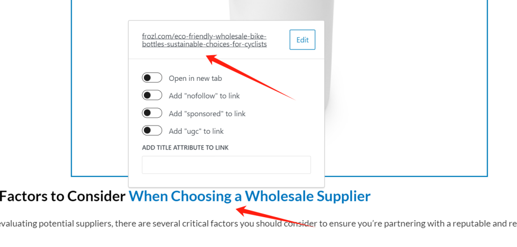 WordPress SEO 终极初学者指南：任何人都可以实施的有效策略-15