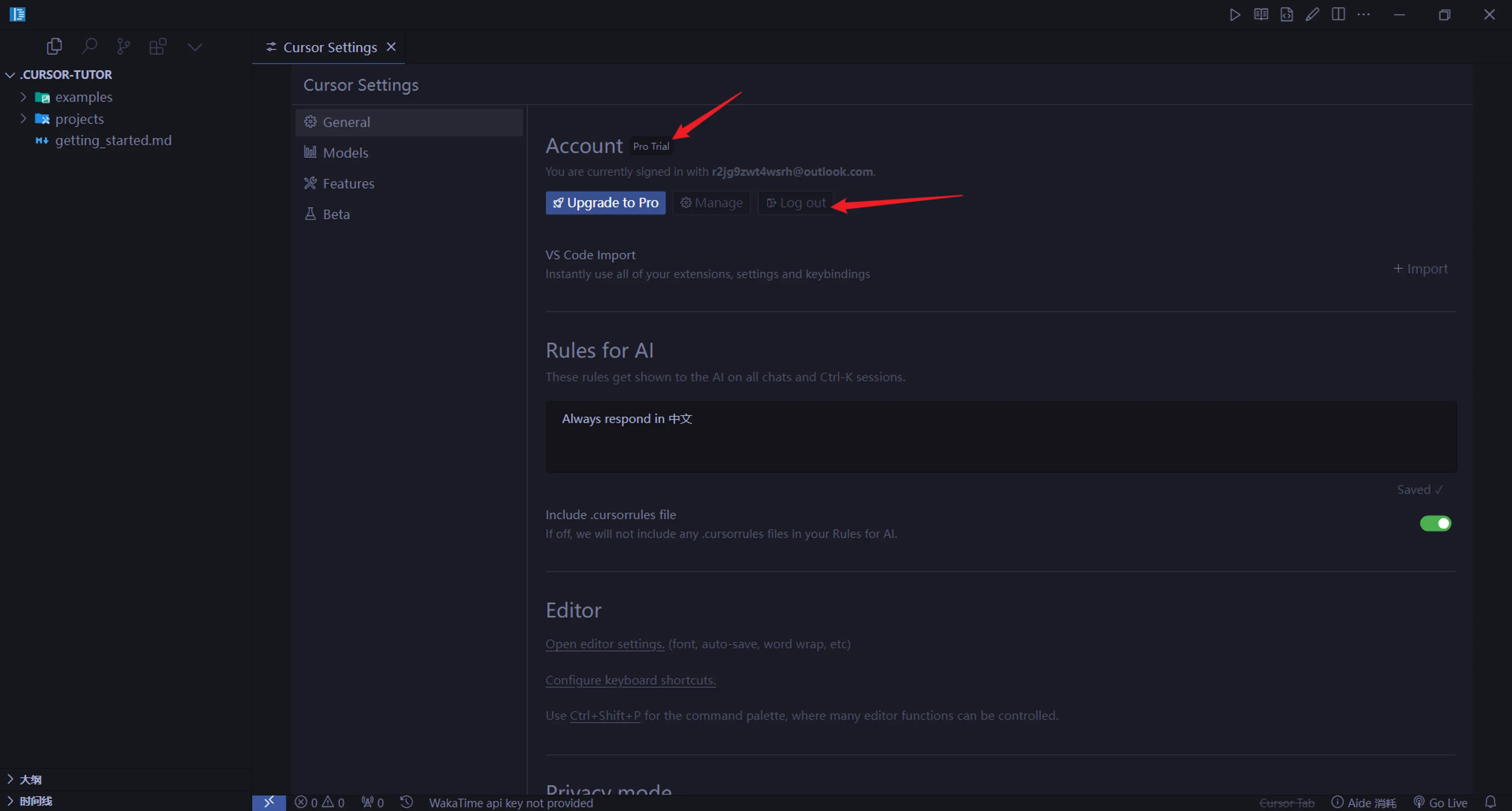 无限续杯 Cursor-30
